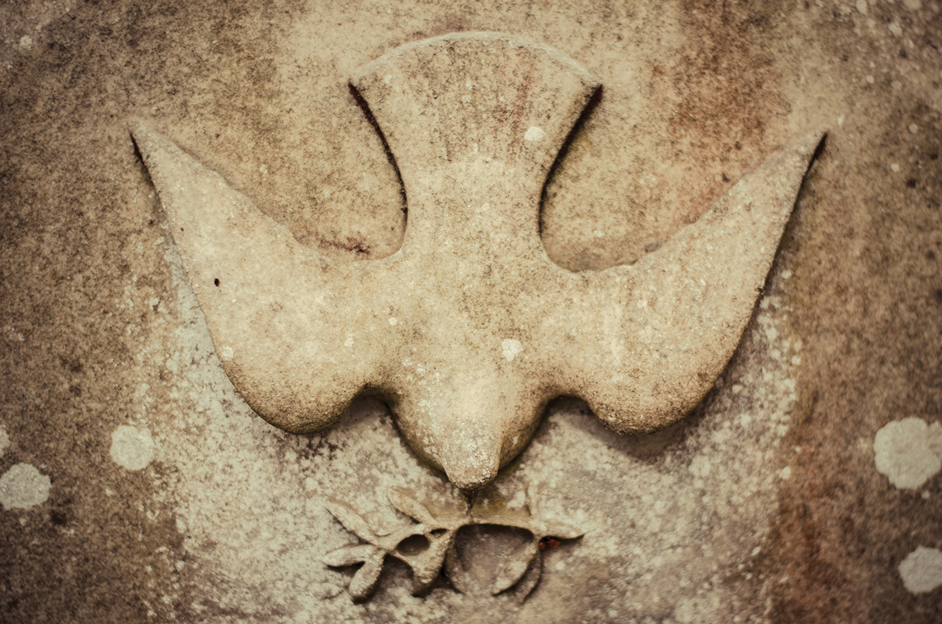 Relief on stone of a dove with a twig, the Christian symbol of the Holy Spirit, as well as symbolic rebirth and traditional secular symbol for peace.