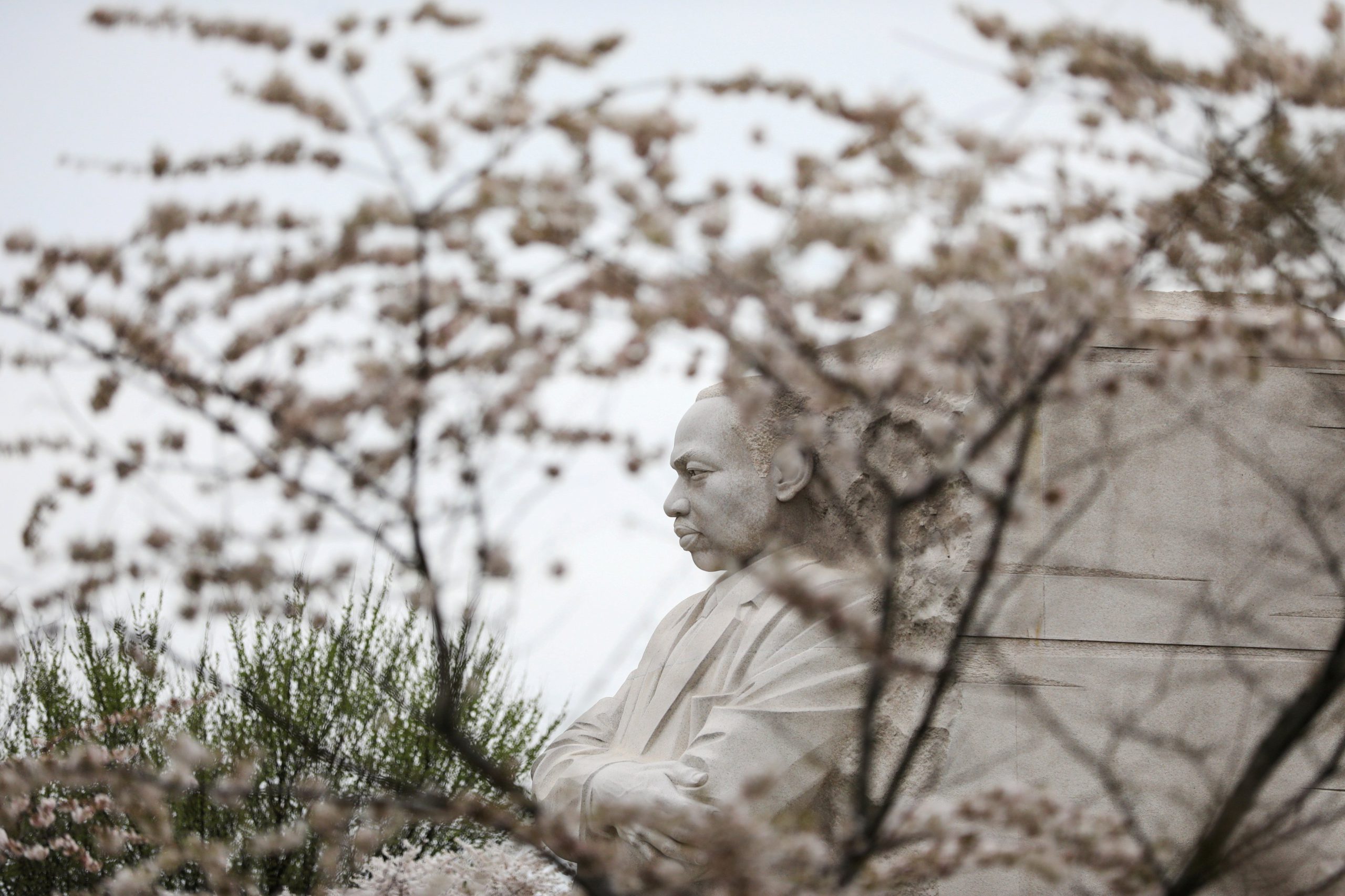 Blooming cherry blossoms surround the Martin Luther King Jr. Memorial in Washington March 27, 2021. (CNS photo/Cheriss May, Reuters)